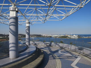 展望台からの眺め