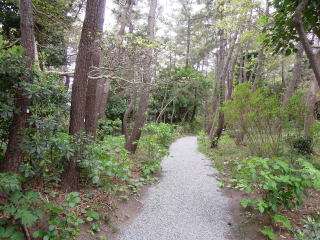 �����̗�