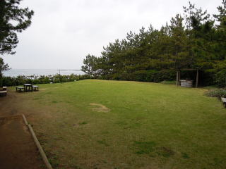 �t�R�������������̎Ő��L��