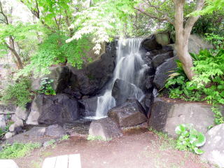 ����̑�i�ӂ����̂����j