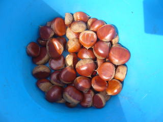 �E�����I