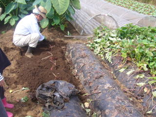 �T�c�}�C����