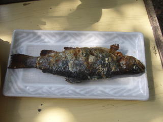 �j�W�}�X�̉��Ă�