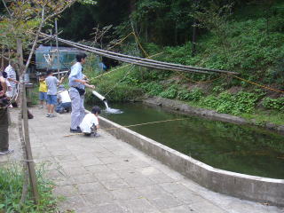 �j�W�}�X�̒ޖx