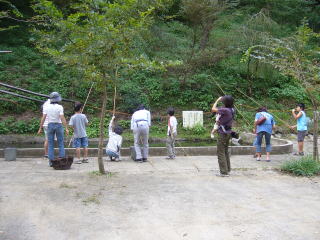 �j�W�}�X�̒ޖx