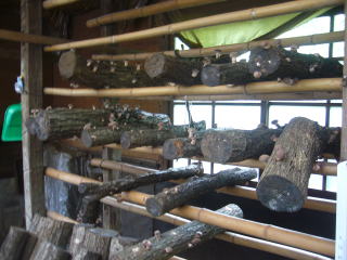 �����R��