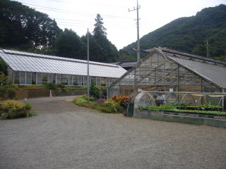 �t�����[�K�[�f��