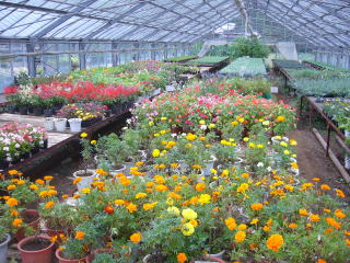 �����̒��̗l�q