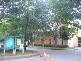 ����|�p�̉�